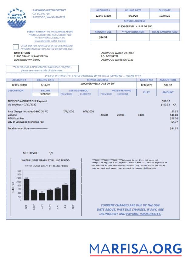 Printable USA Lakewood Water District utility bill template in Word and PDF format